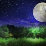 ミステリー界の王道、サイコミステリー小説のおすすめ2作を紹介!