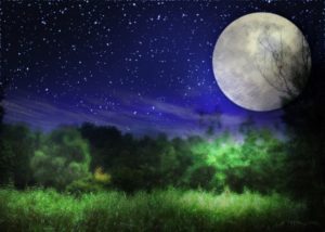 ミステリー界の王道、サイコミステリー小説のおすすめ2作を紹介!