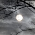 ホラーゲーム「死印」は凄く怖い!?その怖い要素3つを徹底解剖!