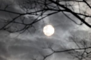 ホラーゲーム「死印」は凄く怖い!?その怖い要素3つを徹底解剖!