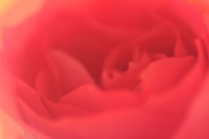 巨匠・江戸川乱歩の失敗作!?通俗小説『盲獣』の詳細を解説!