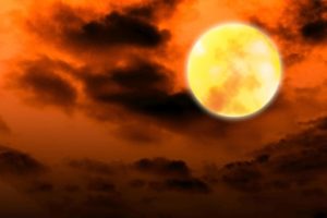 ミステリー小説で特に衝撃のラストが描かれている『アクロイド殺し』『十角館の殺人』を解説!