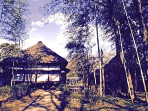 アニメ『八犬伝―東方八犬異聞―』の原作とは異なる点と最終回26話のネタバレ・感想を紹介!