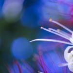 地獄堂霊界通信の原作小説の作者は?気になる作品の詳細やストーリーを紹介!