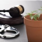 ドラマ「相棒」で亡くなった俳優が演じていた役柄を解説! 津川雅彦/大杉漣/志水正義