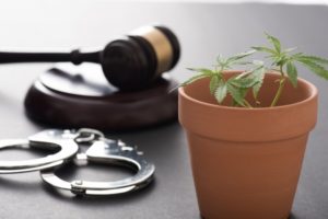 ドラマ「相棒」で亡くなった俳優が演じていた役柄を解説! 津川雅彦/大杉漣/志水正義