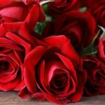 彩雲国物語の主人公・紅秀麗の母、薔薇姫!物語の鍵を握る隠された秘密に迫る!
